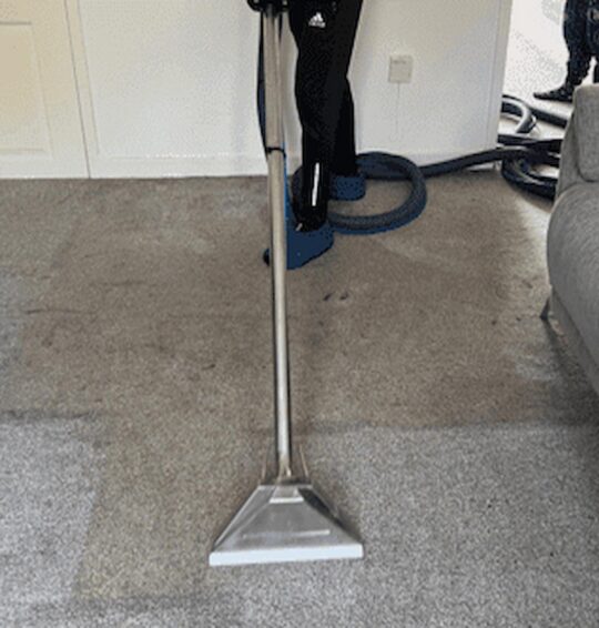 Deep Carpet Cleaning Brentwood for Rejuvenating Worn, Stained, or Tired Carpets