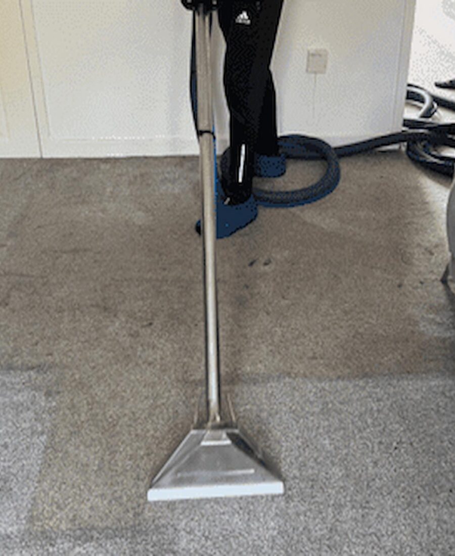 Deep Carpet Cleaning Brentwood for Rejuvenating Worn, Stained, or Tired Carpets