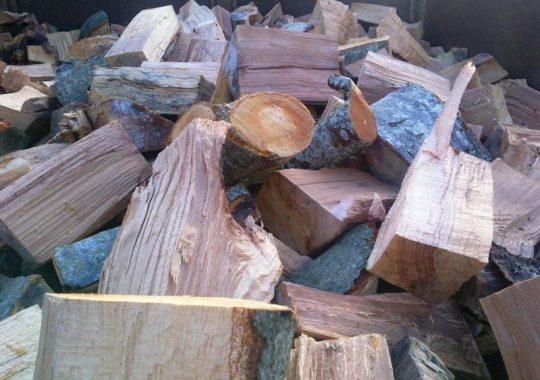 Take Help Of Tree Surgeon To Buy Quality Firewood
